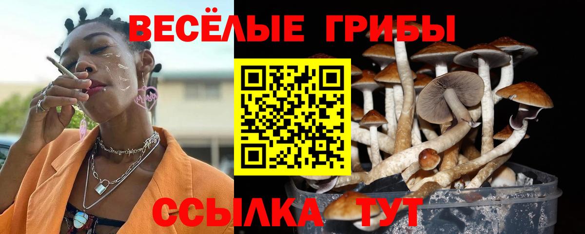 Балтийск  Галлюциногенные грибы прущие грибы  наркошоп  Вход с VPN  Галлюциногенные грибы MAGIC MUSHROOMS 
