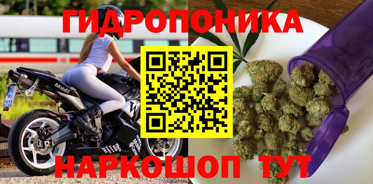 Каннабис семена Балтийск